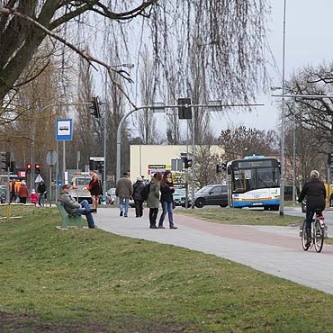 Pasaerowie bez wiaty przystankowej. Runa od psiego moczu.