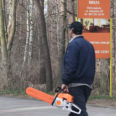 Stra miejska bezsilna. Handlujcy piami wci „na topie”