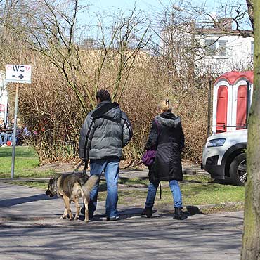 Koniec z sikaniem w lesie? Urzdnicy planuj ustawienie toalet