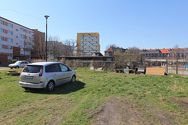 Pozbędą się kociaków