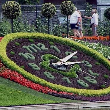 Chcielibyście takie cuda na promenadzie?