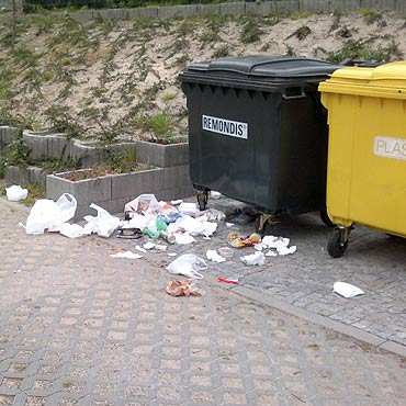 Gdy opróżniają śmietniki, nie schylają się po to, co wypadło