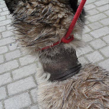 Kolejna ofiara ludzkiej nieodpowiedzialnoci 