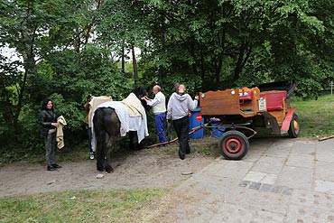 Koń dostał zakwasów i upadł. Pomógł mu weterynarz