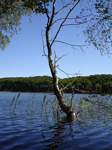 W poszukiwaniu Sowiaskiej Gry