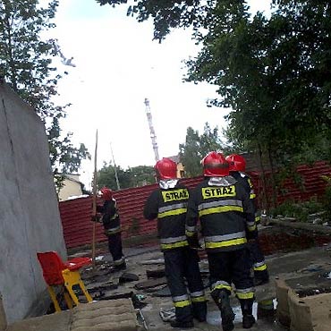 Mewa w sidach yki. Pomogli straacy