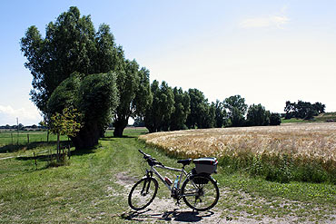 „ŚwIRy” - na rowery!