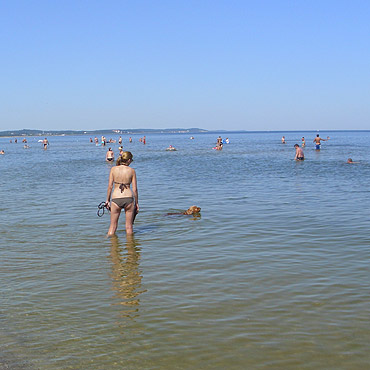 Skaka i chlapa si w Batyku. Plaowicze oburzeni