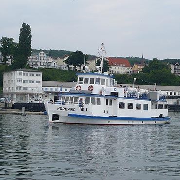 Fafik pywa w Sassnitz
