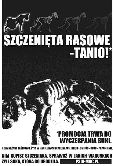 Kampania Psia Ma na ratunek psim matkom