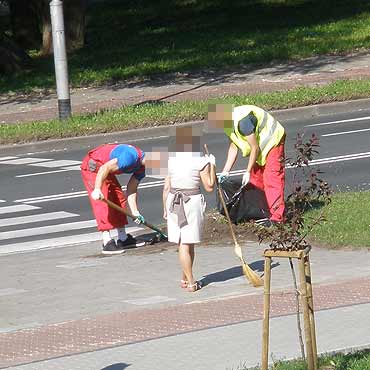 Sposb na czyste ulice w winoujciu