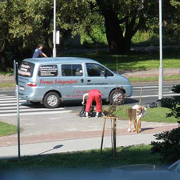 Sposb na czyste ulice w winoujciu