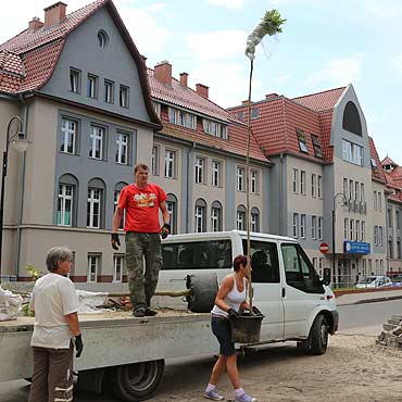 Posadzili boodrzew i berberysy
