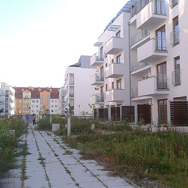 Dewastuj bloki na osiedlu Platan