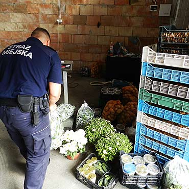 Akcja przeciwko nielegalnie handlujcym