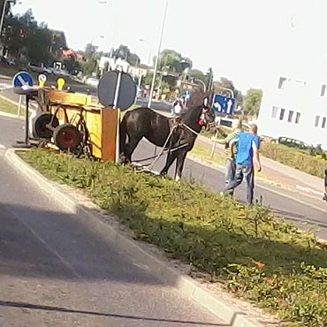 Ko si sposzy. Doroka si wywrcia 