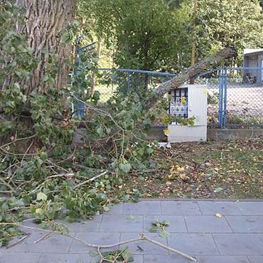 Silny wiatr w Świnoujściu. Drzewa lecą jak zapałki