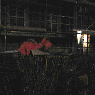 Pluszowa maskotka pilnuje rusztowa