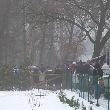 Drzewko świątecznej potrzeby