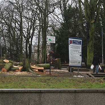 Rewitalizacja Parku Chopina. Wycinka drzew oburzya mieszkacw