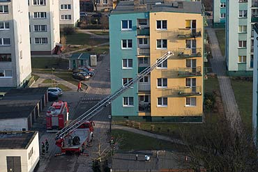 Przerażony psiak zawisł na balkonie!