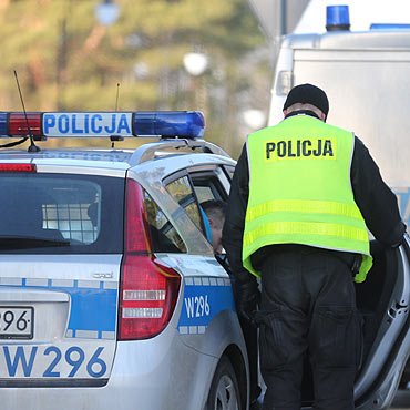 Soik z nielegaln zawartoci