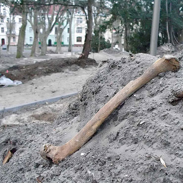 W parku Chopina mieszkaniec znalaz ludzkie szcztki!!!