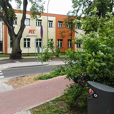 Krzewy zasaniaj rowerzystw