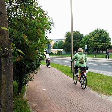 Krzewy zasaniaj rowerzystw