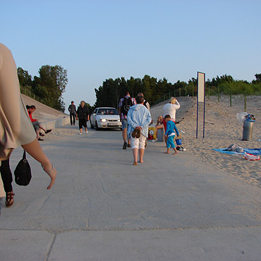 Rozjeżdżona plaża