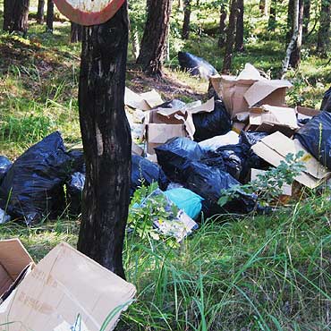 Obejrzyj te zdjęcia, może będziesz mógł pomóc