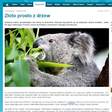 Złoto na drzewach!