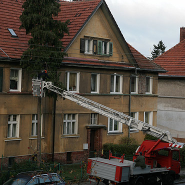 Wycieli wierk przy ulicy Gdyskiej