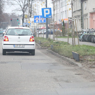 Zamontowali podpory do ochrony korzeni drzew przy ulicy Grunwaldzkiej