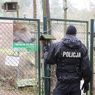 Zrobili ze schroniska bastion! Kto tutaj rzdzi? Zobacz film!