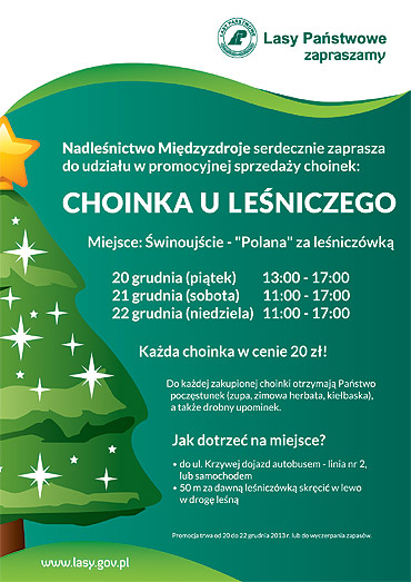 Choinki u leniczego w cenie 20 z ! 