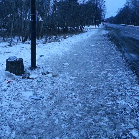 Szef Remondisa: Pugi zasypuj przystanki