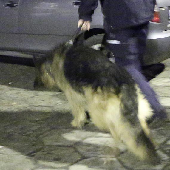 Prezydent kupi policji... psa