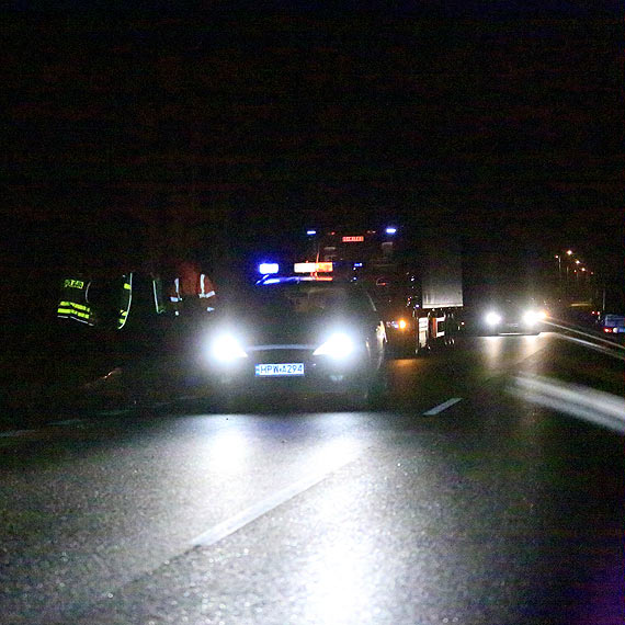 Dziki wybiegy na drog. Uszkodziy tira