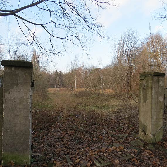 Czytelnik: Wadze s zadowolone