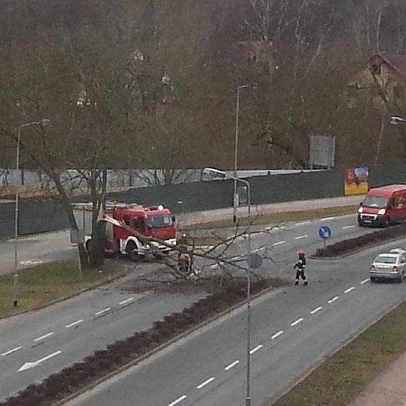 Uwaga! Silny wiatr amie gazie i powala drzewa 
