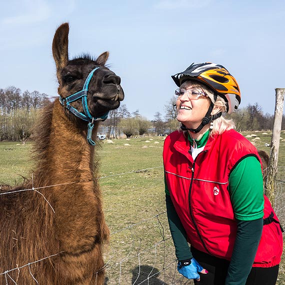 "ŚwiR" dla początkujących i seniorów