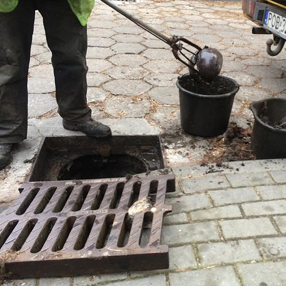 Akcja czyszczenia studzienek w całym mieście