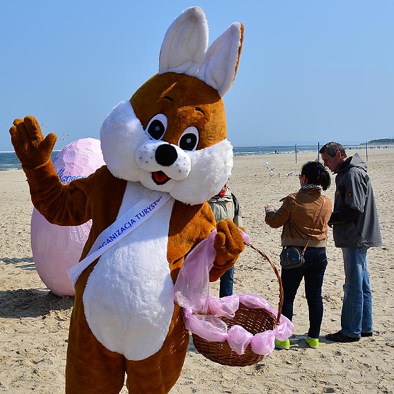 Przekopali plażę w poszukiwaniu jajek-niespodzianek!