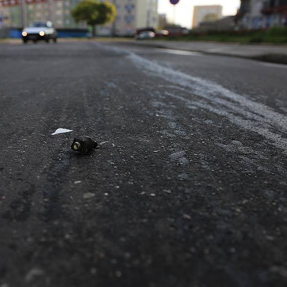 Byo lisko i niebezpiecznie