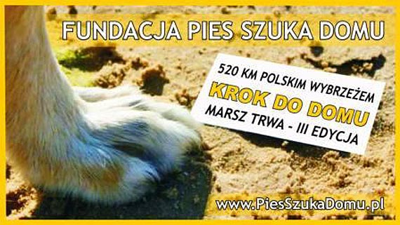 520 km Polskim Wybrzeżem – rusza 3 edycja marszu przeciw bezdomności zwierząt