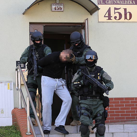 Co najmniej siedmiu czonkw narkotykowego gangu zatrzymao w winoujciu CB