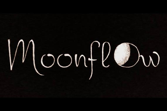 Koncert zespou Moonflow