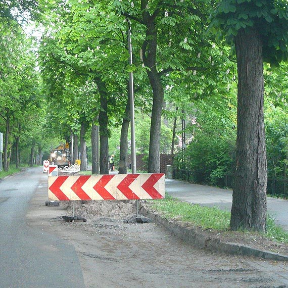 Czytelnik: Koparka uszkodzia zdrowe drzewo!
