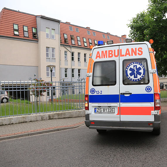W cigu dwch dni doszo do dwch pogryzie. Ofiary trafiy do szpitala 
